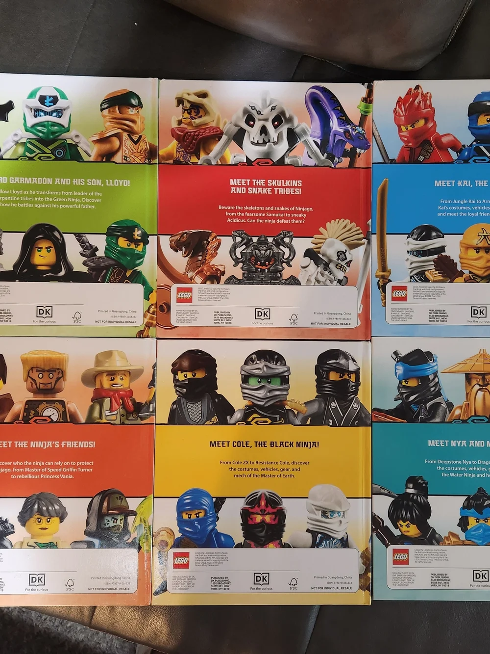 6 LEGO NINJAGO Character Collection - Multi-Color Book Set